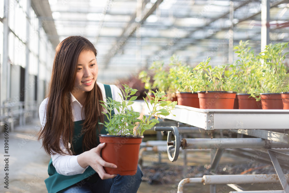 young asian woman works in green house