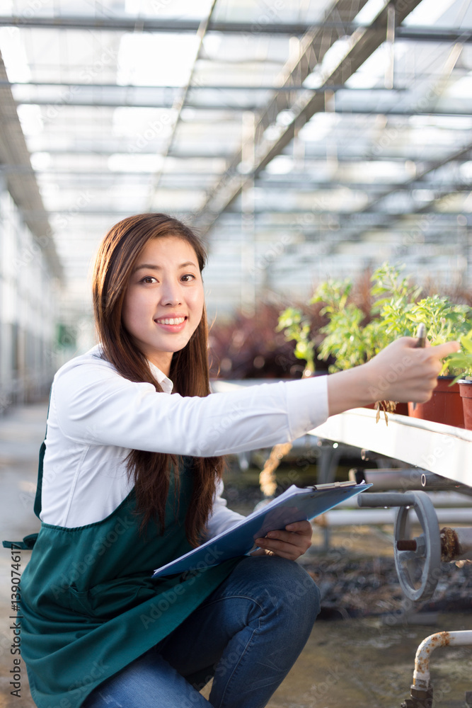 young asian woman works in green house