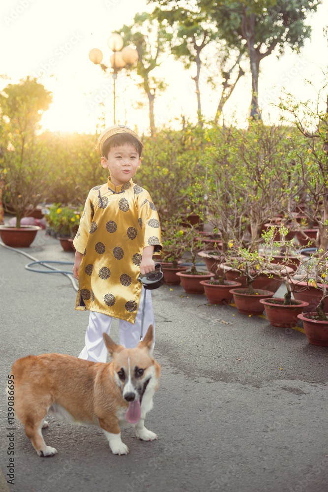 Happy kid having fun with traditional dress (ao dai) in Ochna Integerrima (Hoa Mai) garden. Hoa Mai 