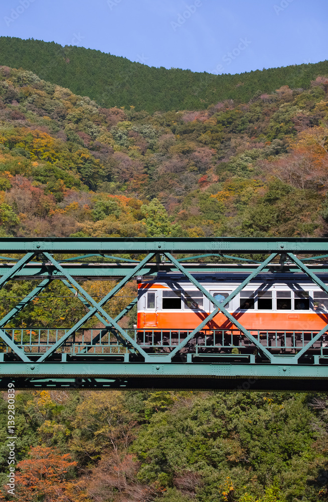 日本箱根市秋季铁路桥和火车的美丽山景