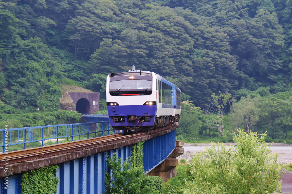 立谷沢川橋梁を渡る列車（陸羽西線）