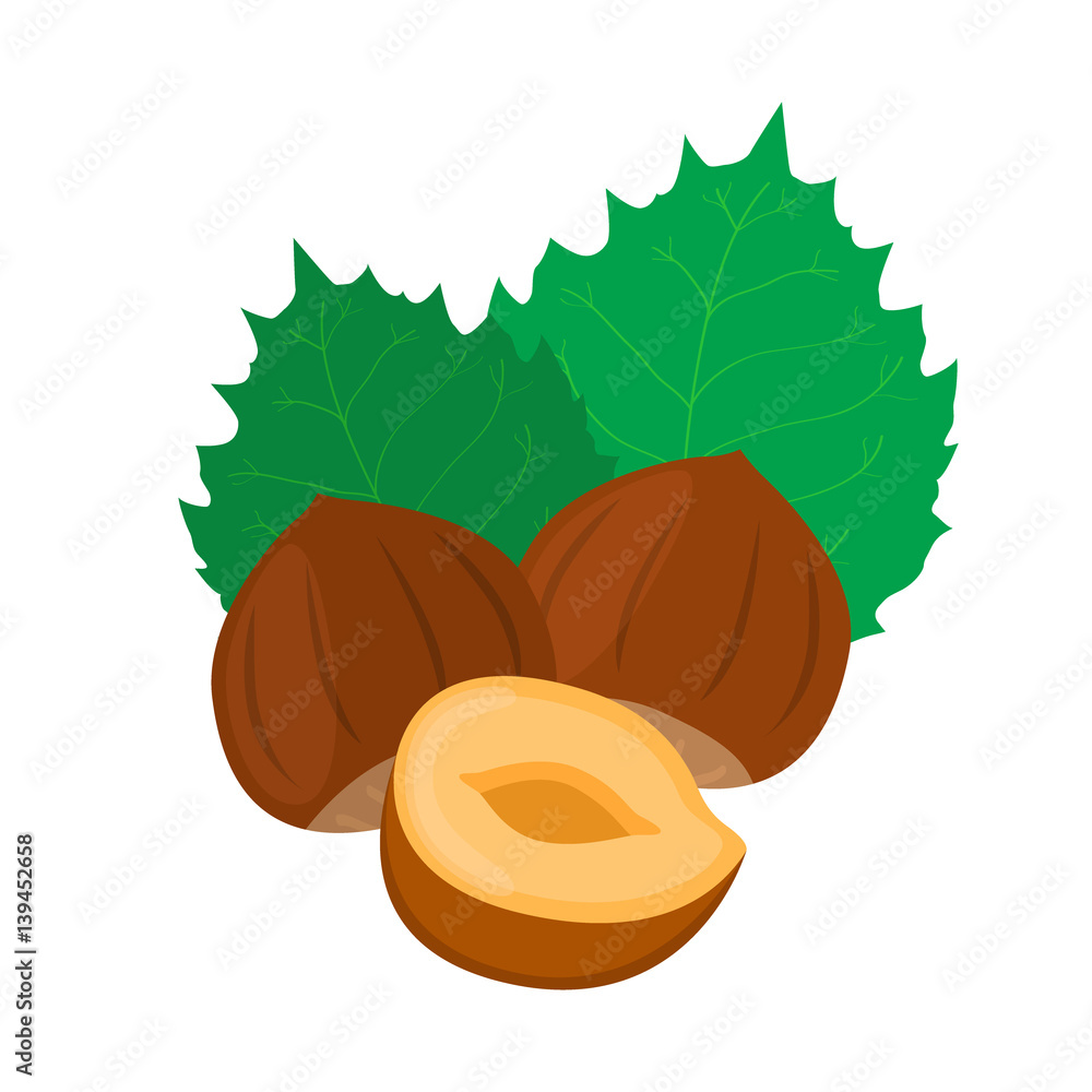 Hazelnut. Cartoon forest natural nut, organic ripe hazel, green leaves.