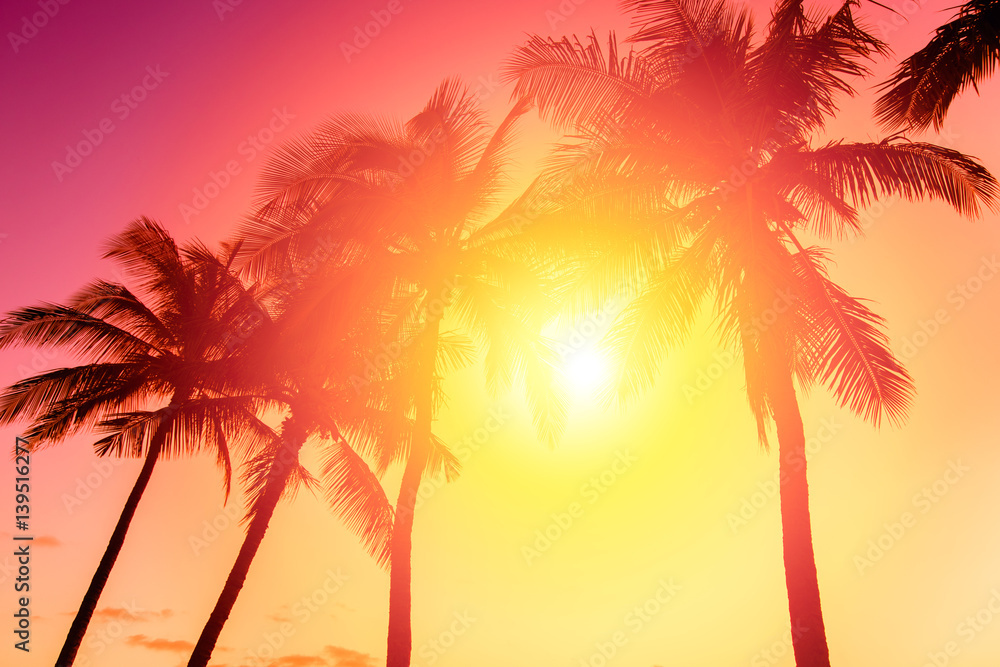 Tropical island sunset with silhouette of palm trees, hot summer day vacation background, golden sky