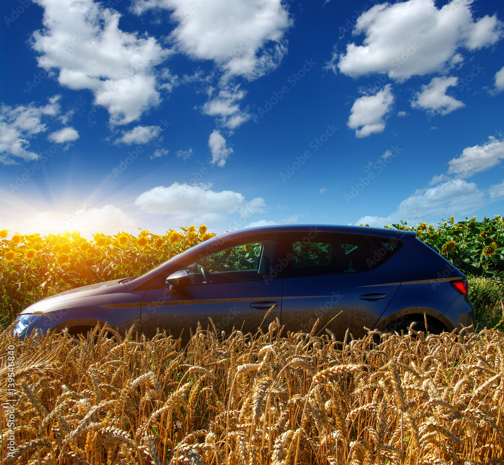 car on a field