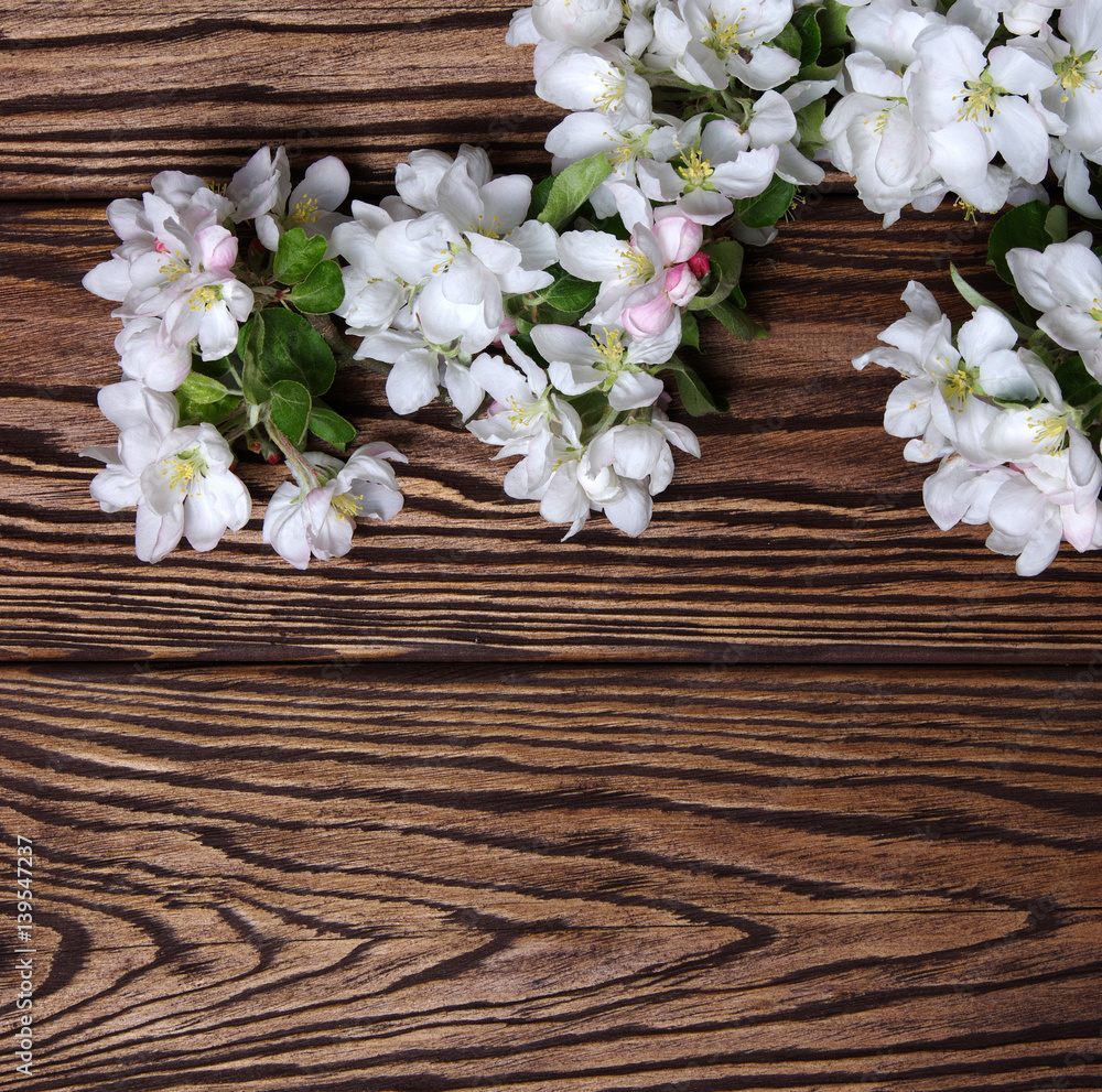  Spring flowers on wood