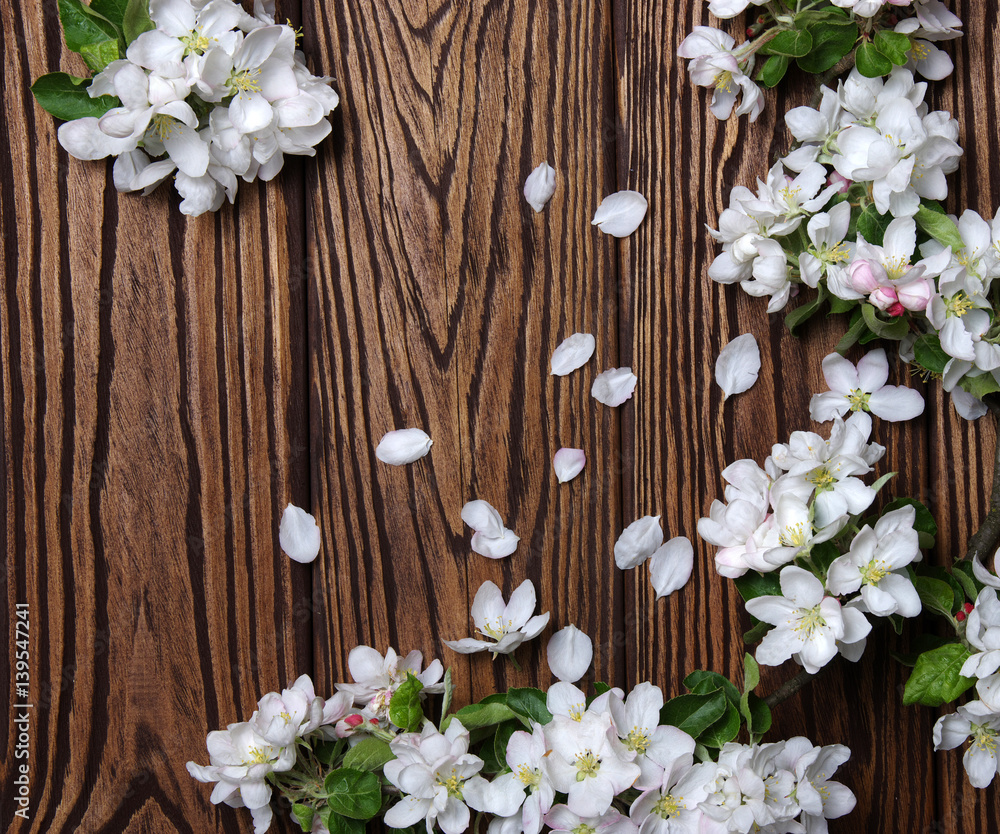  Spring flowers on wood