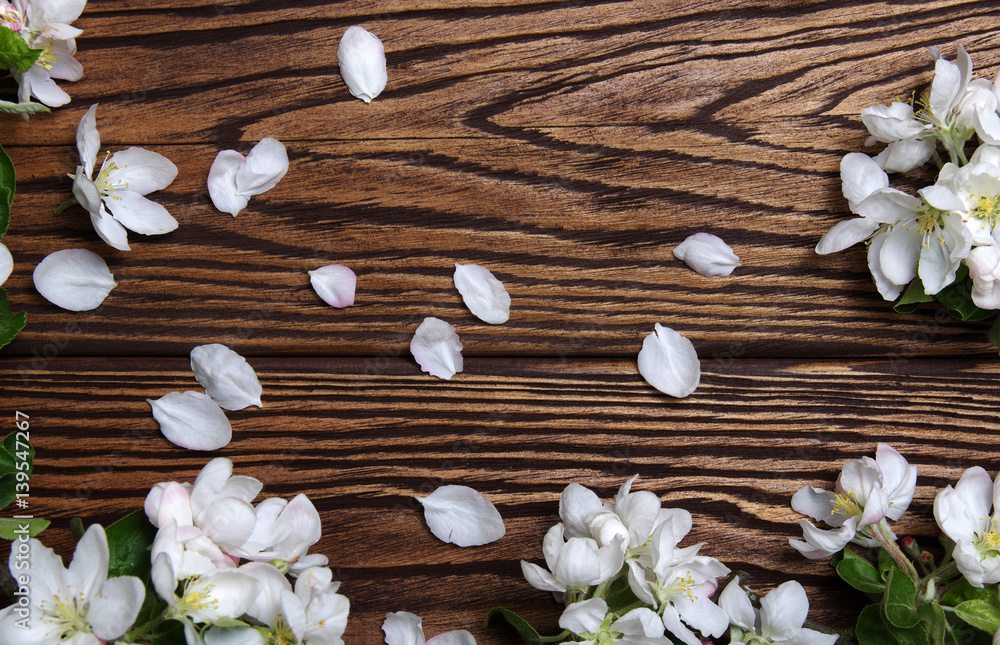  Spring flowers on wood