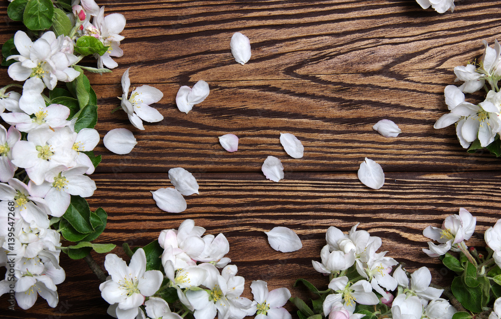  Spring flowers on wood