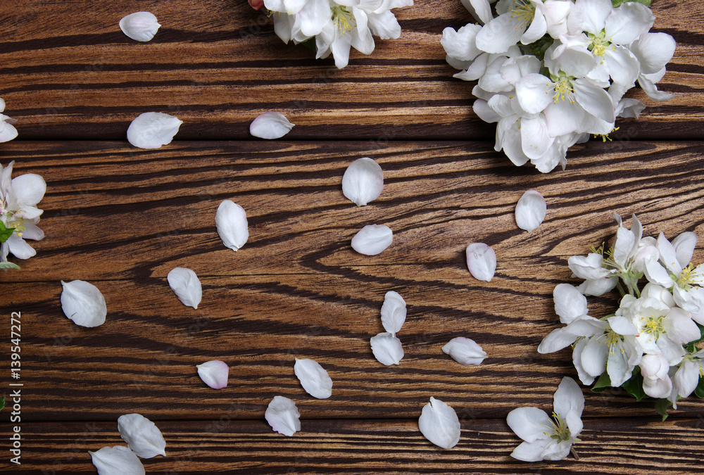  Spring flowers on wood