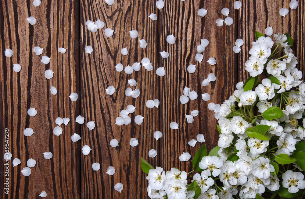  Spring flowers on wood