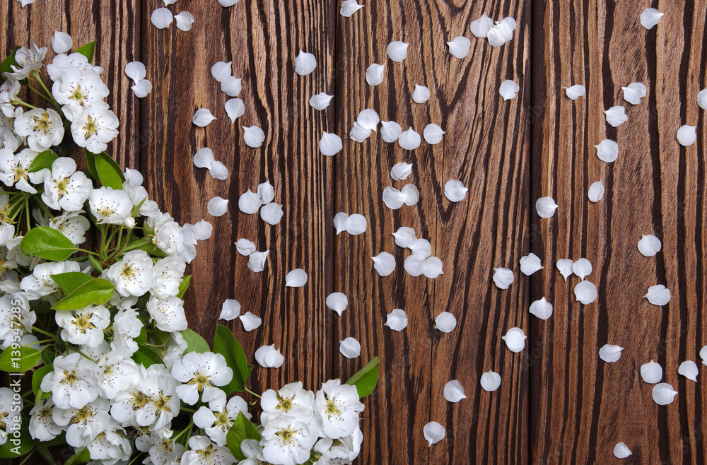  Spring flowers on wood