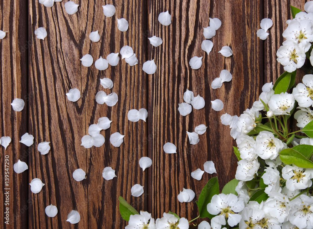  Spring flowers on wood