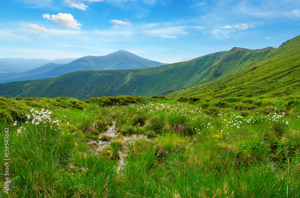 夏日山景