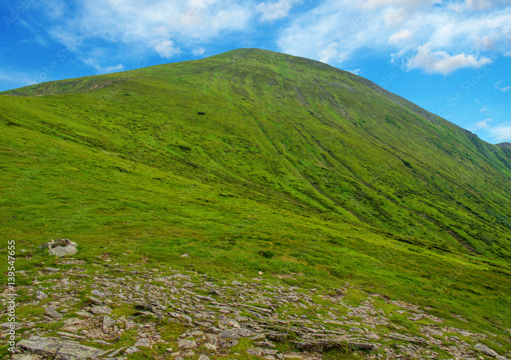 Mountain landscape in the summer