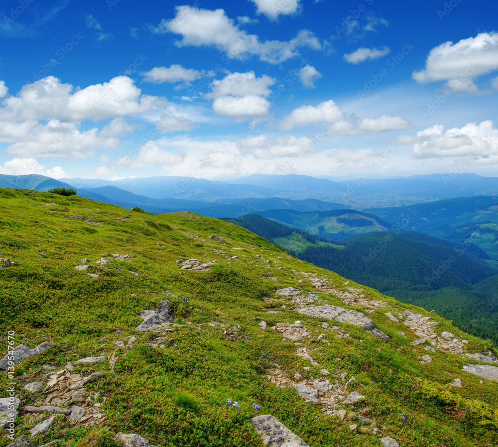 夏日山景