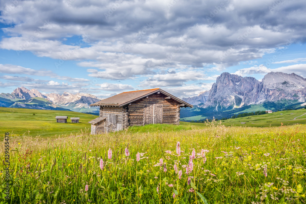 Alpe di Siusi, Dolomites, South Tyrol, Italy