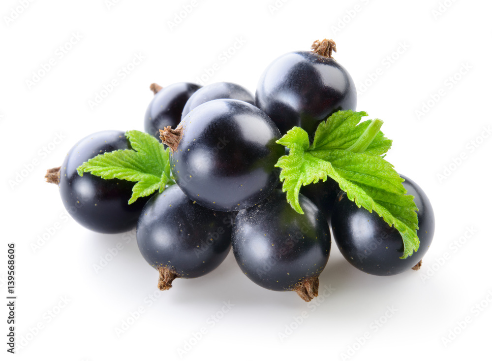 Black currant isolated on white background. Fresh berries with leaves.