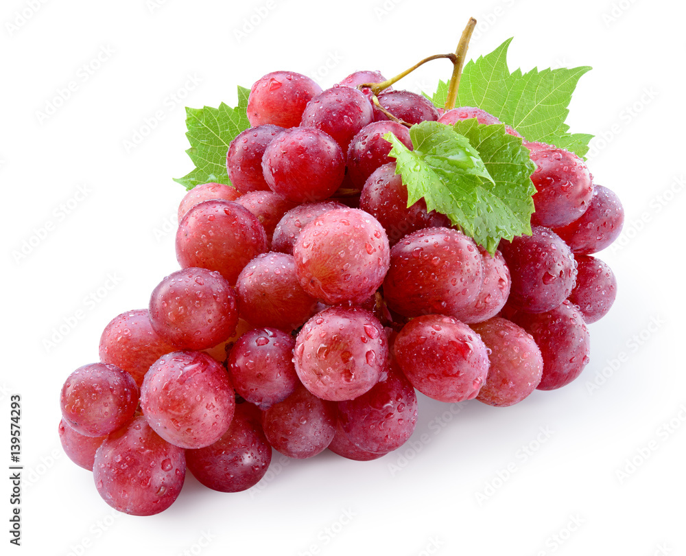 Ripe red wet grape with drops. Pink bunch with leaves isolated on white. With clipping path. Full de