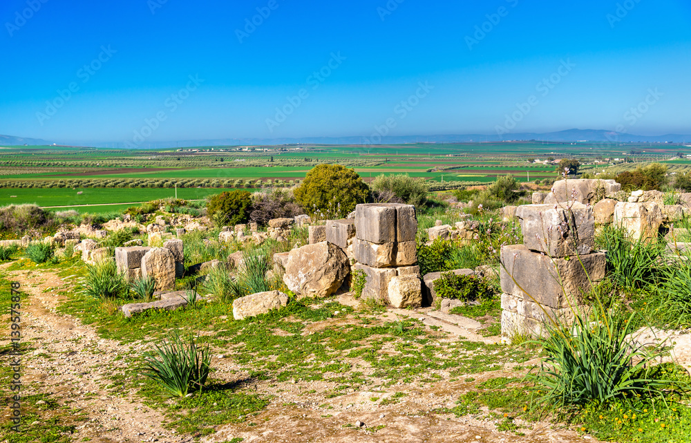 Ruins of Volubilis, a Berber and Roman city in Morocco