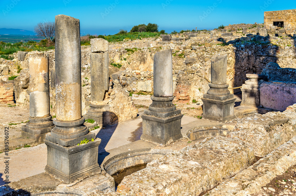 Ruins of Volubilis, a Berber and Roman city in Morocco