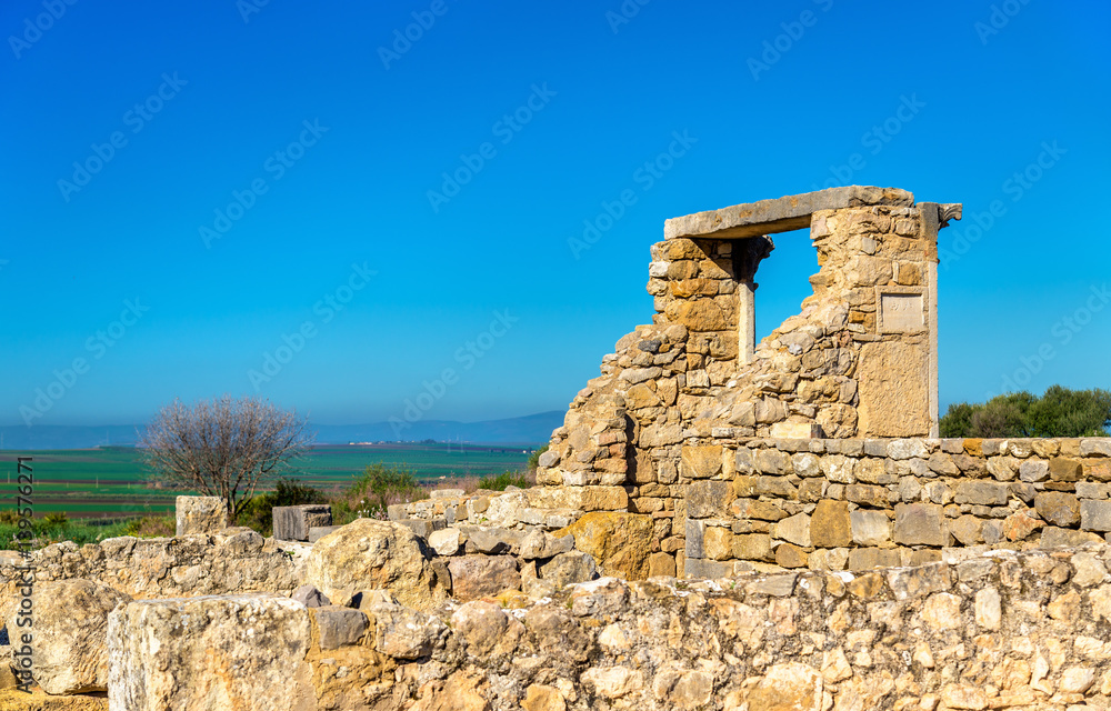 Ruins of Volubilis, a Berber and Roman city in Morocco