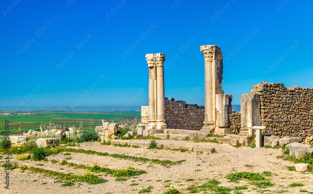 Ruins of Volubilis, a Berber and Roman city in Morocco