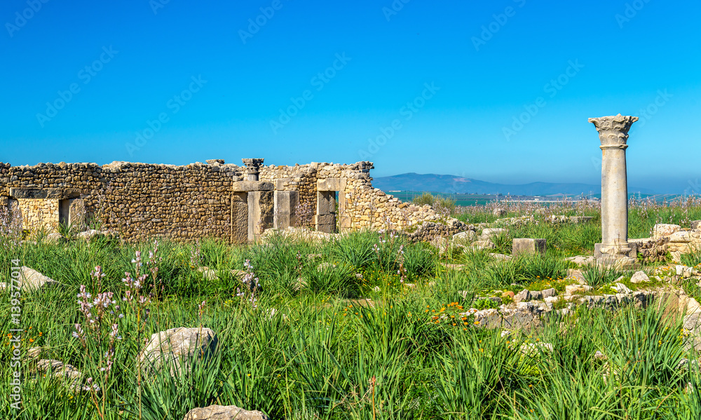 Ruins of Volubilis, a Berber and Roman city in Morocco