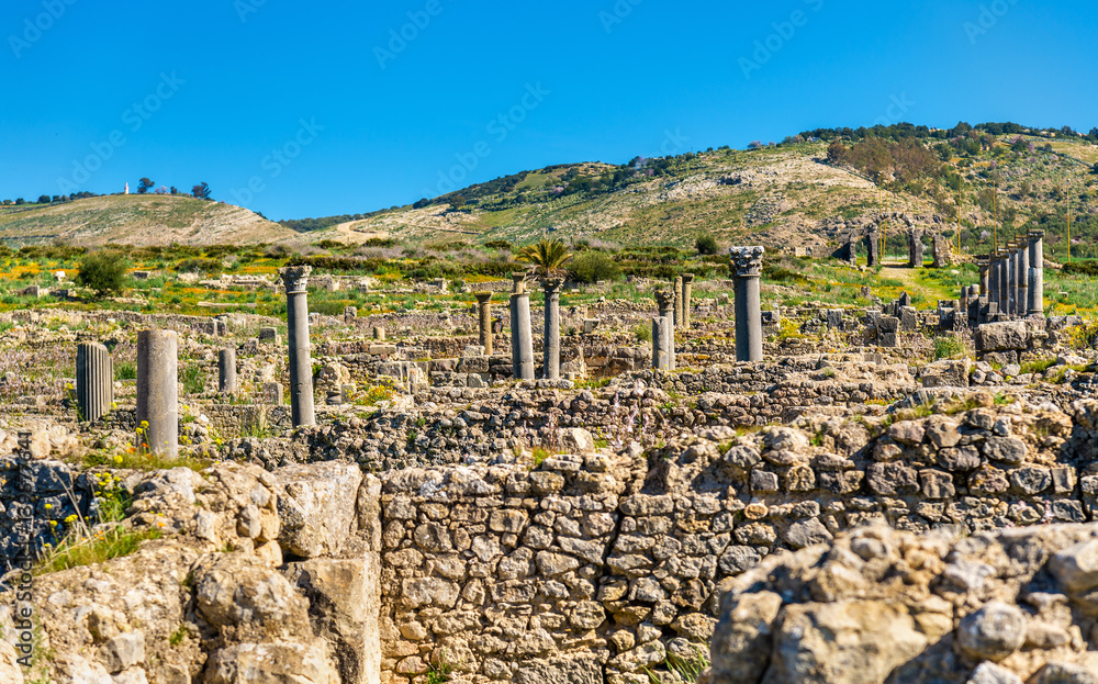 Ruins of Volubilis, a Berber and Roman city in Morocco