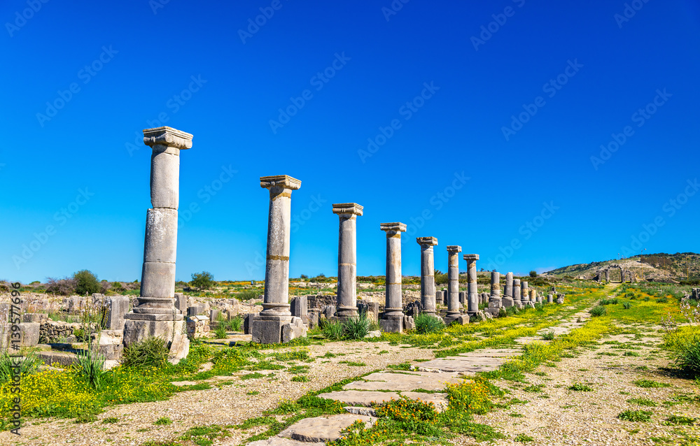 Ruins of Volubilis, a Berber and Roman city in Morocco