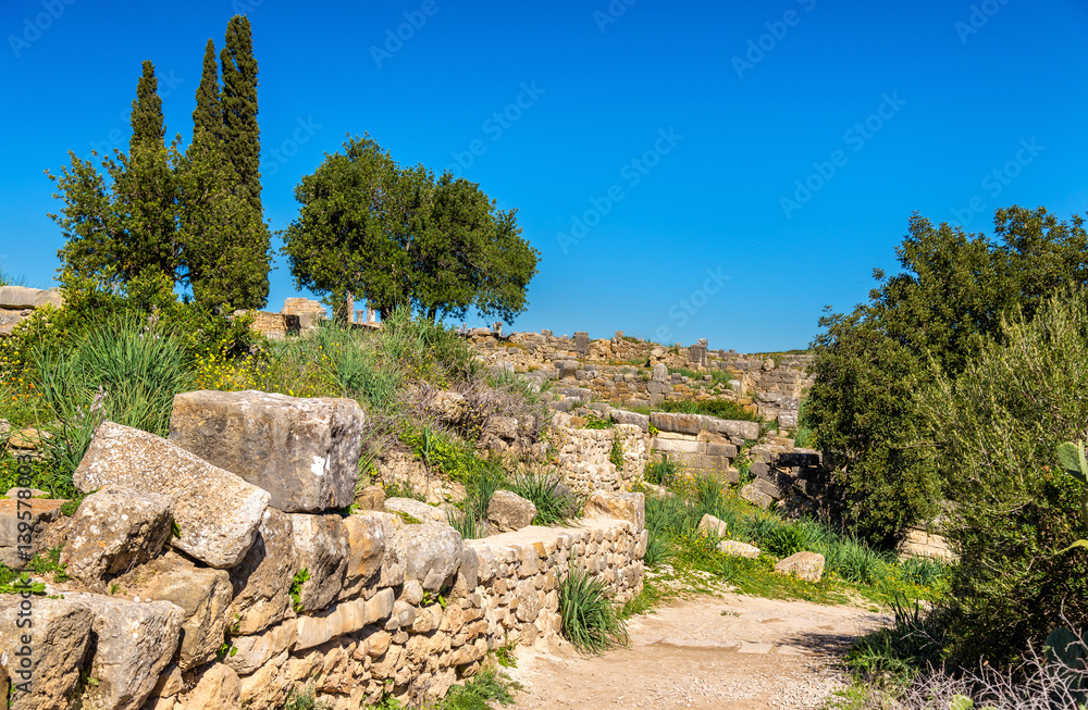 Ruins of Volubilis, a Berber and Roman city in Morocco