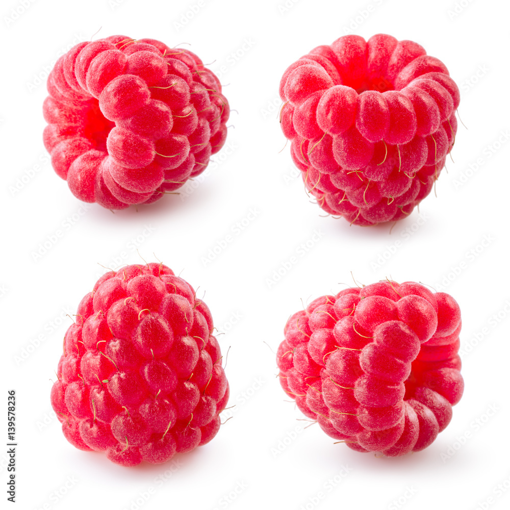 Raspberry isolated on white background. Collection.