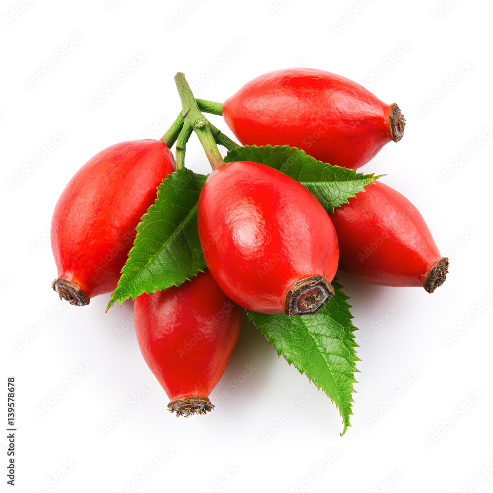 Rose hip isolated on a white background. Branch with berries and leaves.