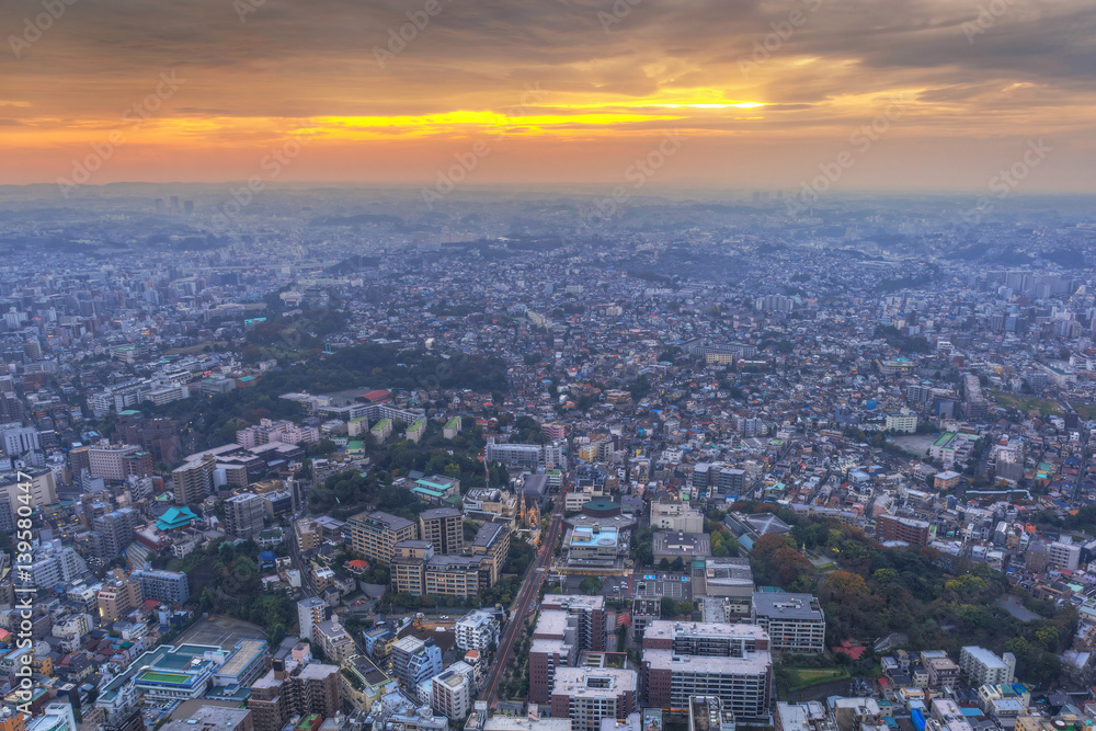 Aerial view of Yokohama city at sunset, Japan