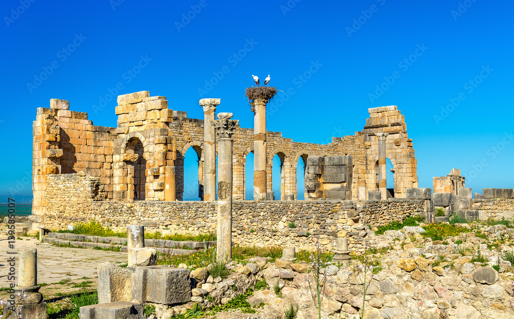 Ruins of a roman basilica at Volubilis, Morocco