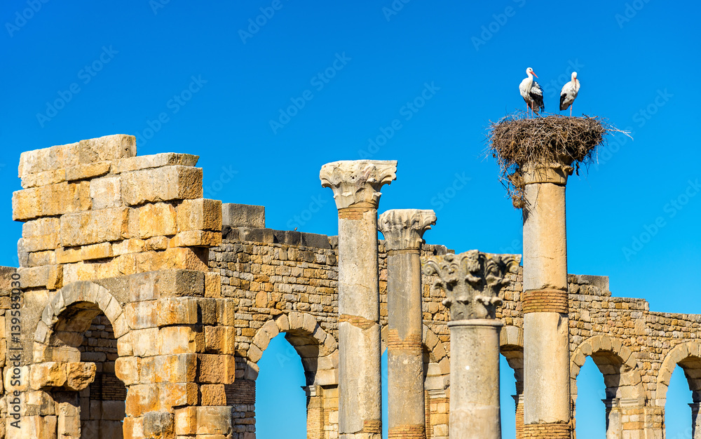 Ruins of a roman basilica at Volubilis, Morocco