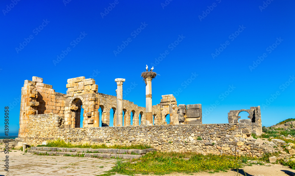 Ruins of a roman basilica at Volubilis, Morocco