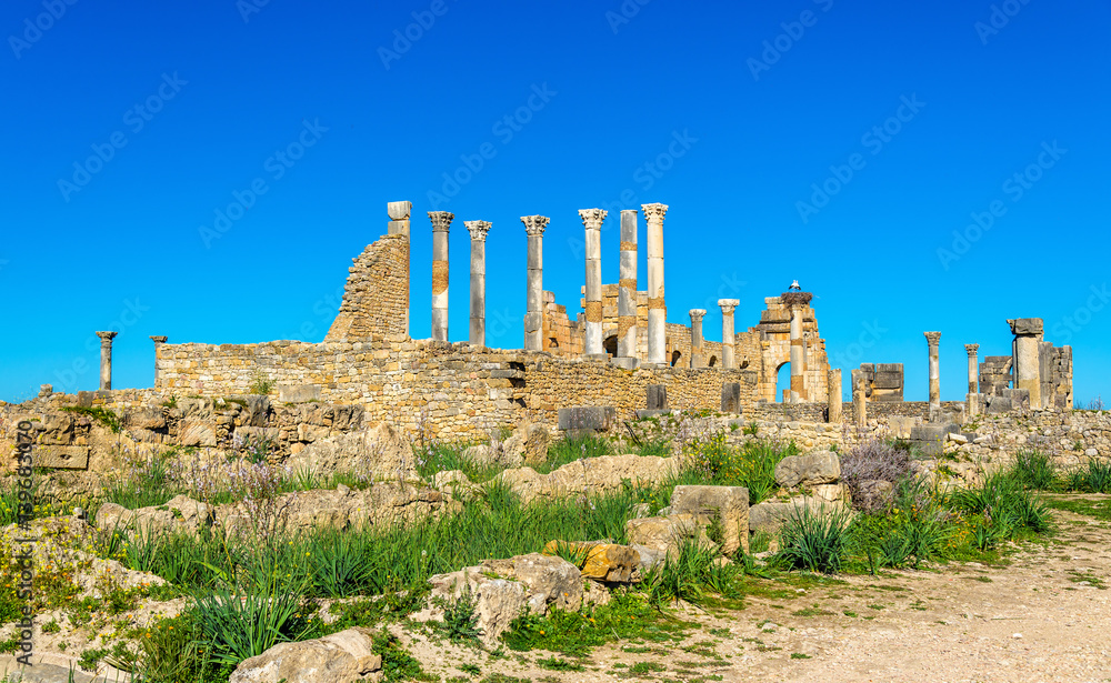 The Capitoline Temple and the Roman Basilica in Volubilis, Morocco