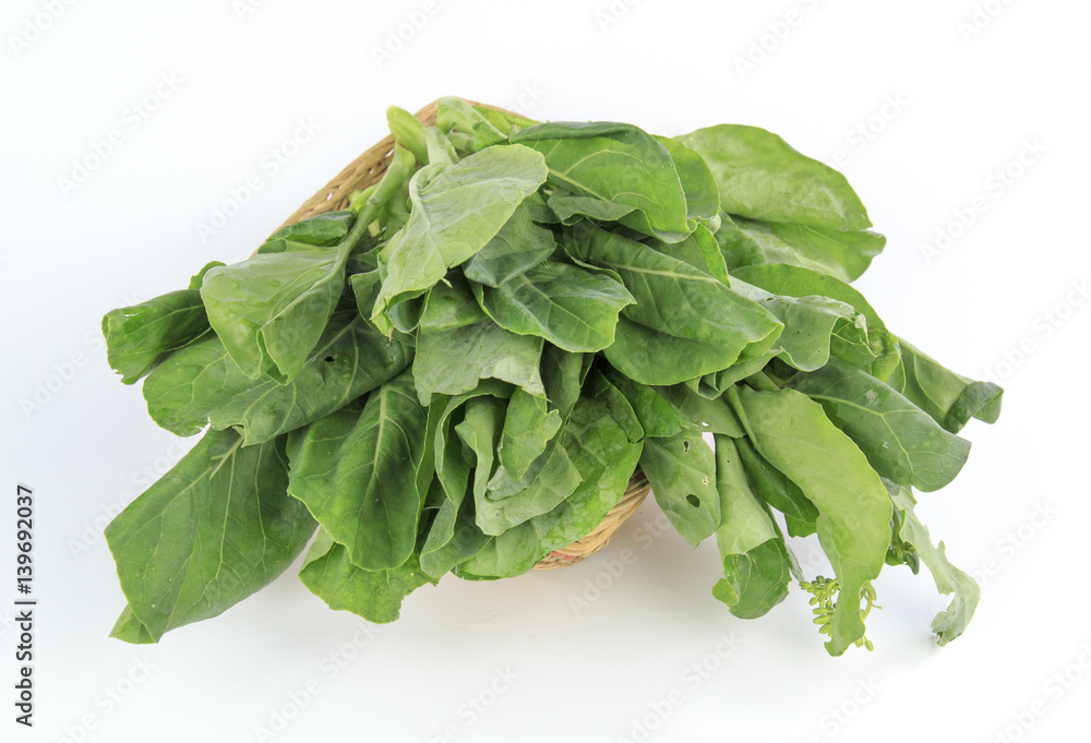 Chinese kale isolated on white background