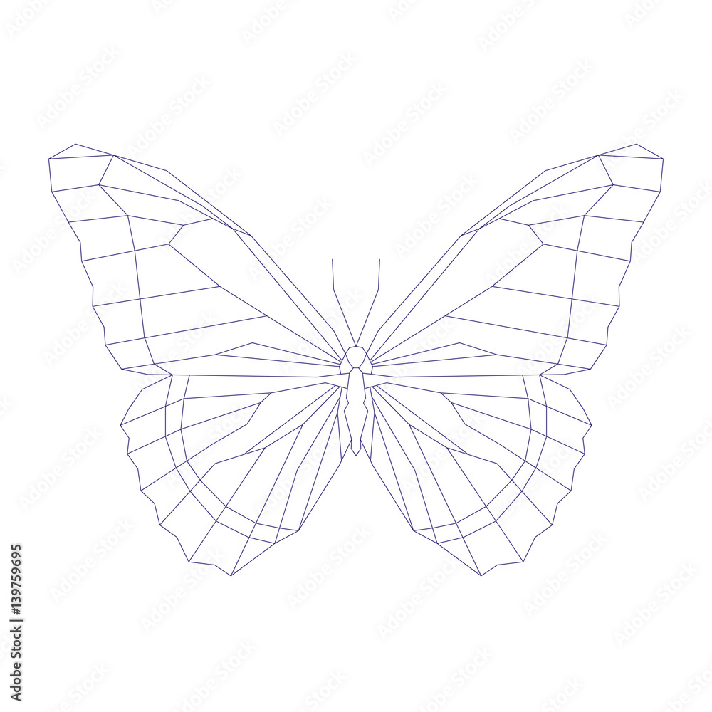 Geometric linear butterfly. Vector illustration