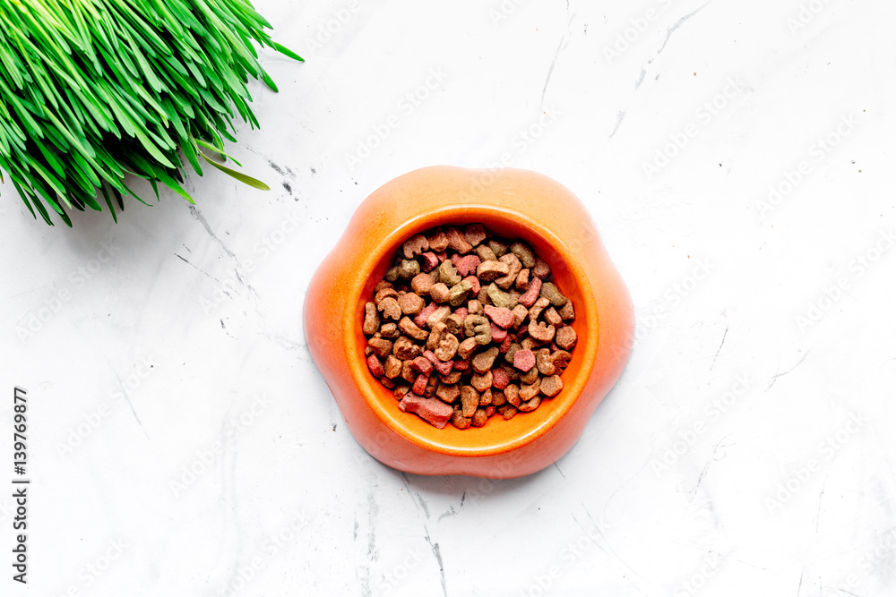 dry cat food in bowl on stone background top view