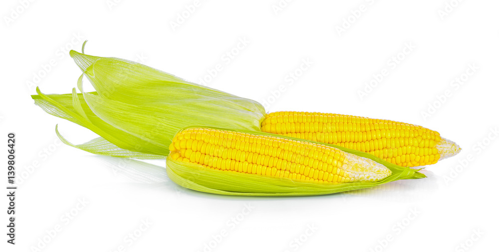 Corn on white background