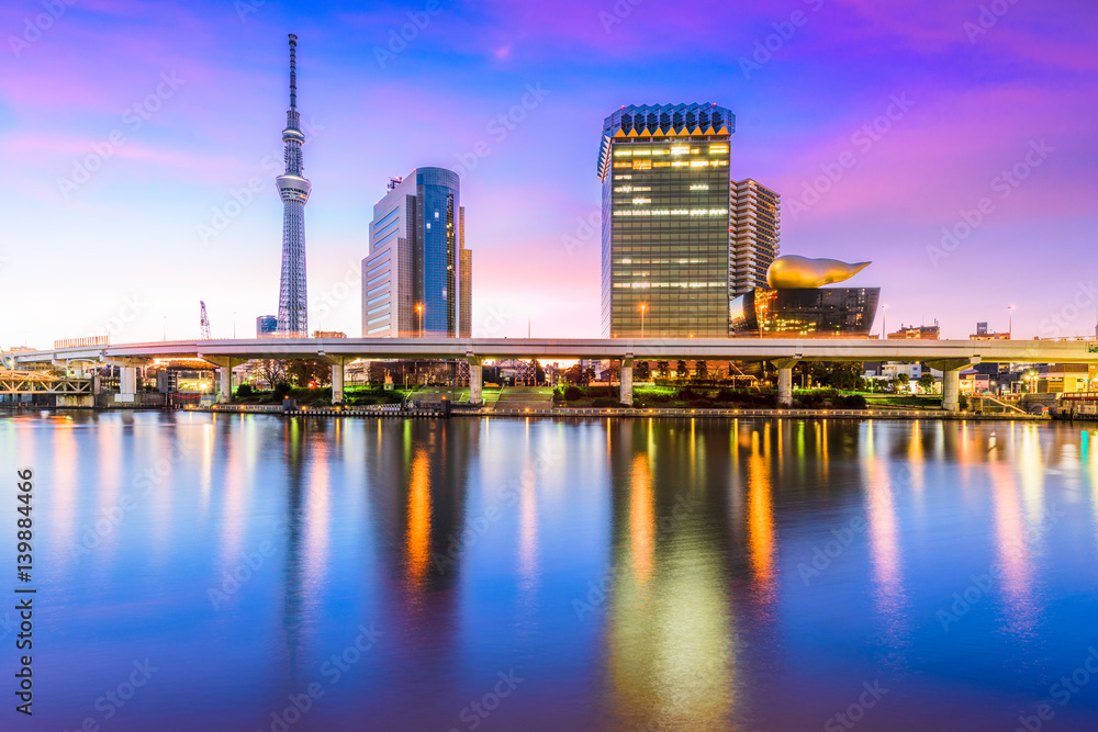 Tokyo, Japan Skyline