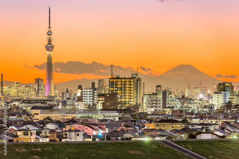 Tokyo Japan and Mt. Fuji