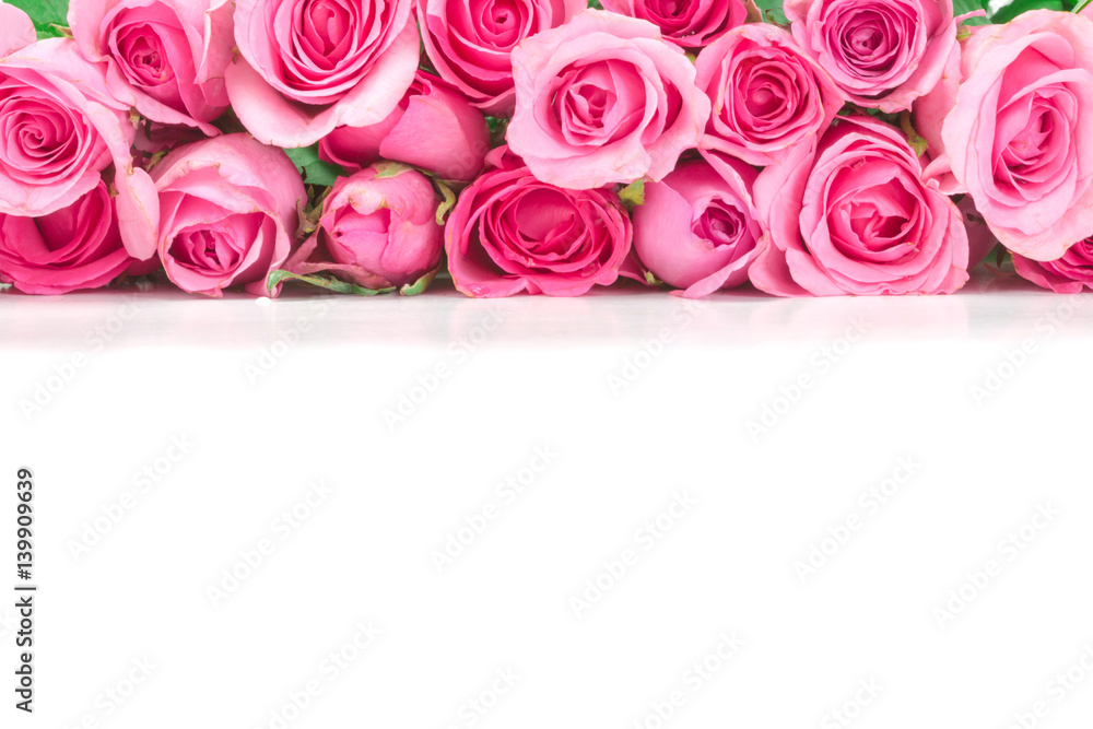 border of Beautiful fresh sweet pink rose for love romantic valentine or wedding background