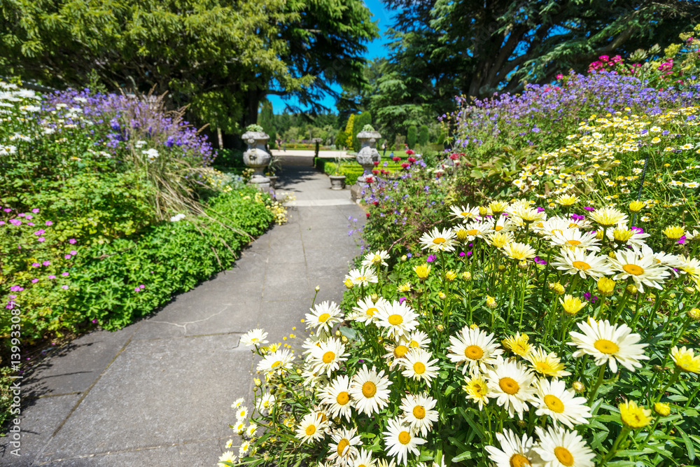 beautiful flower in park