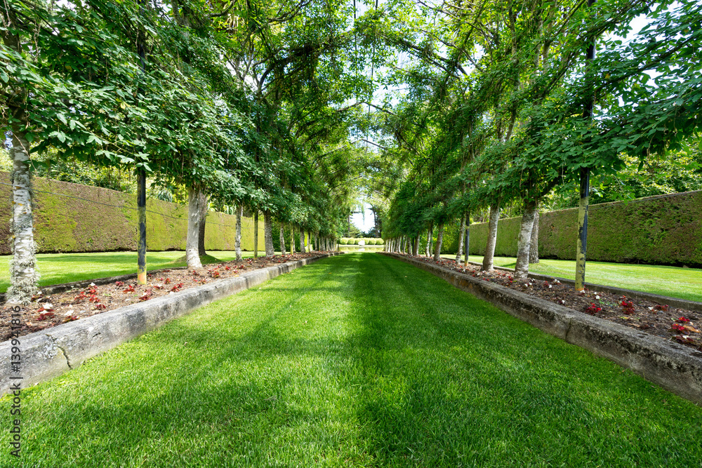 empty green footpath under steel frame in park