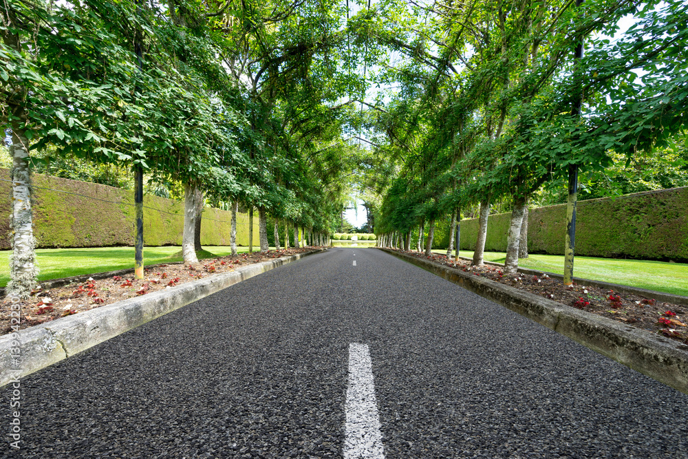 empty road under steel frame in park