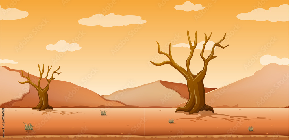 Scene with dried trees in desert field