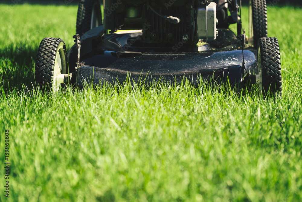 Lawn mower on green grass