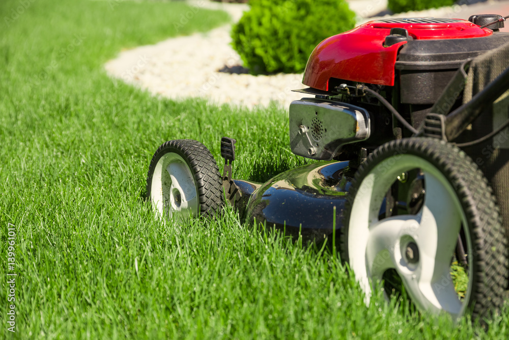 Lawn mower on green grass